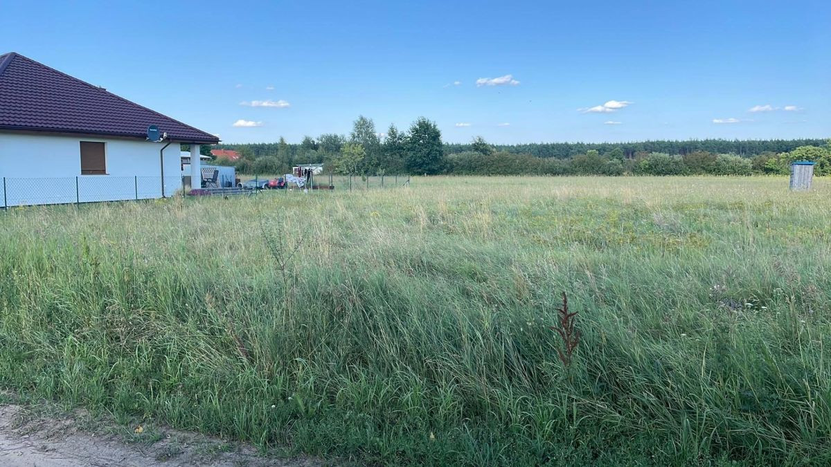 Studzieniec - Widok 3