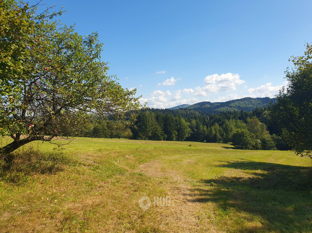 Działka rolno-budowlana 1,86 ha - Widok 2