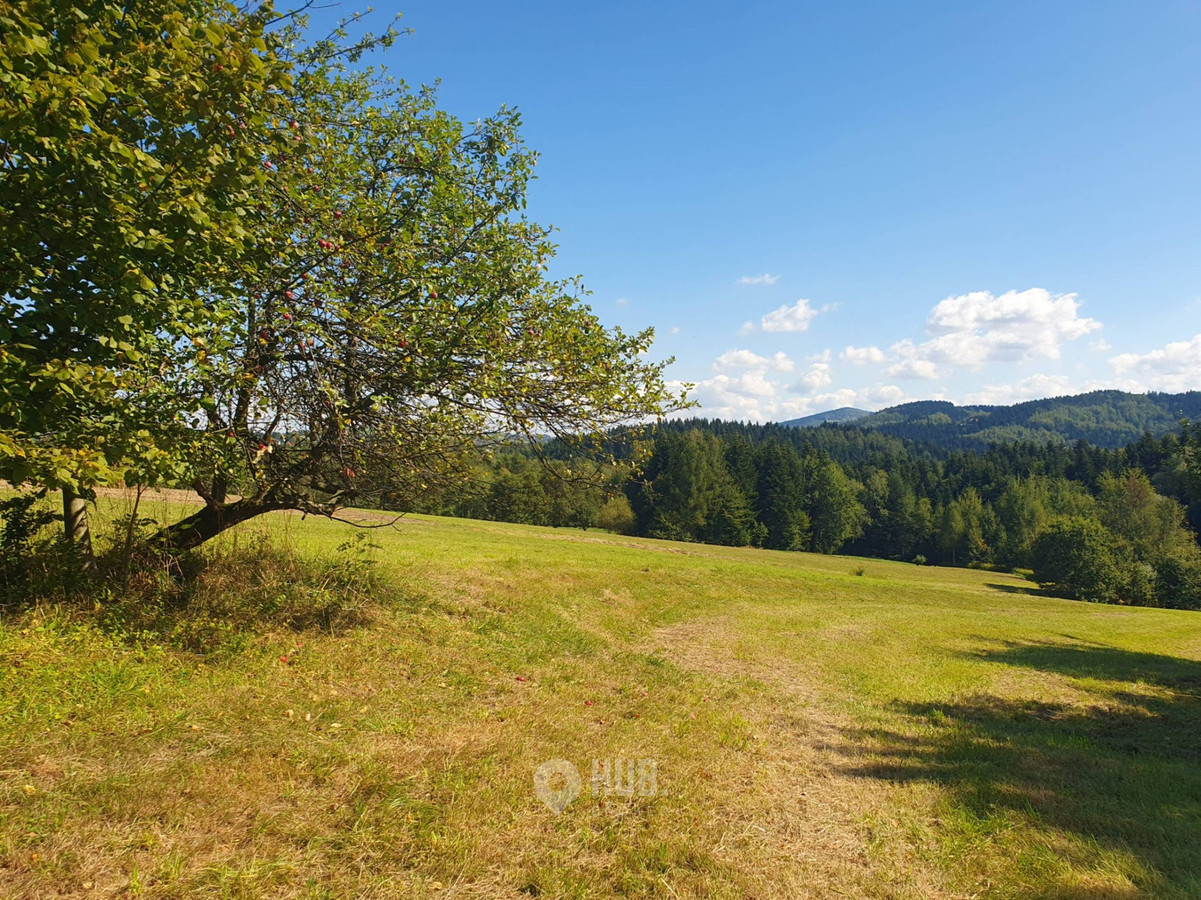 Działka rolno-budowlana 1,86 ha - Widok 3
