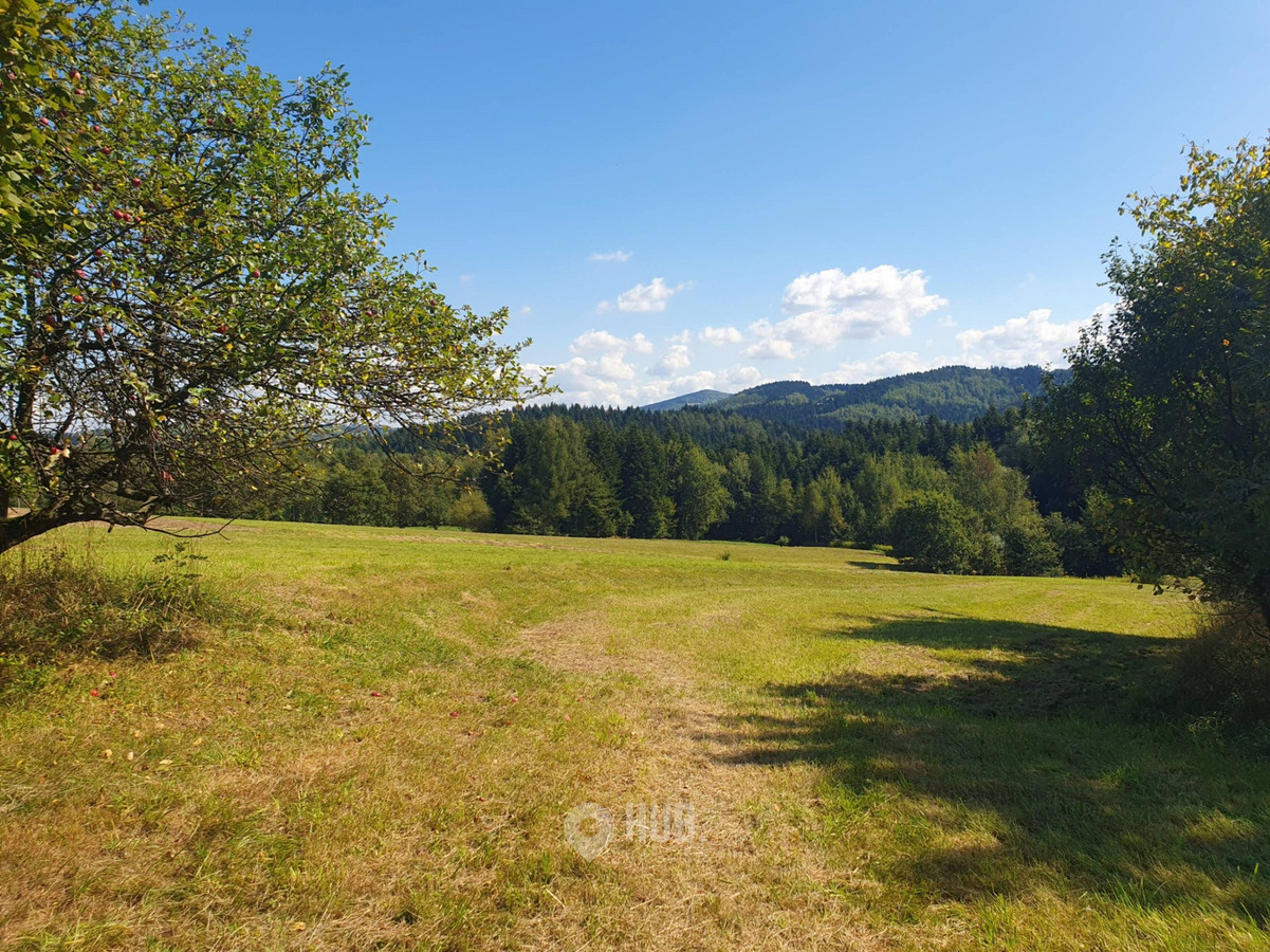 Działka rolno-budowlana 1,86 ha - Widok 4