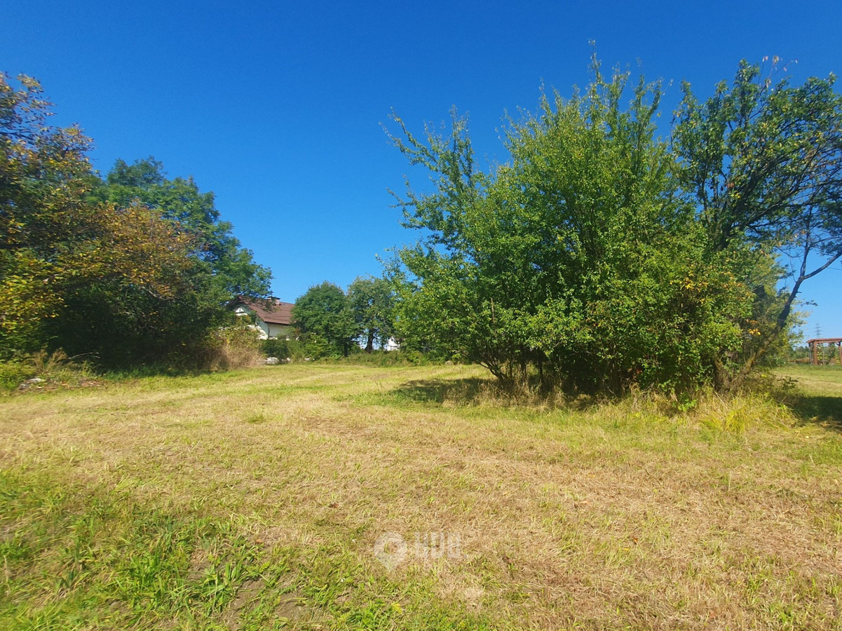 Działka rolno-budowlana 1,86 ha - Widok 5