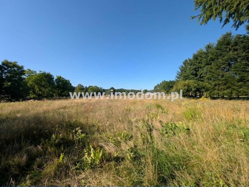 Działka budowlana 1001m² pod lasem Garwół / Wołów - Widok 3