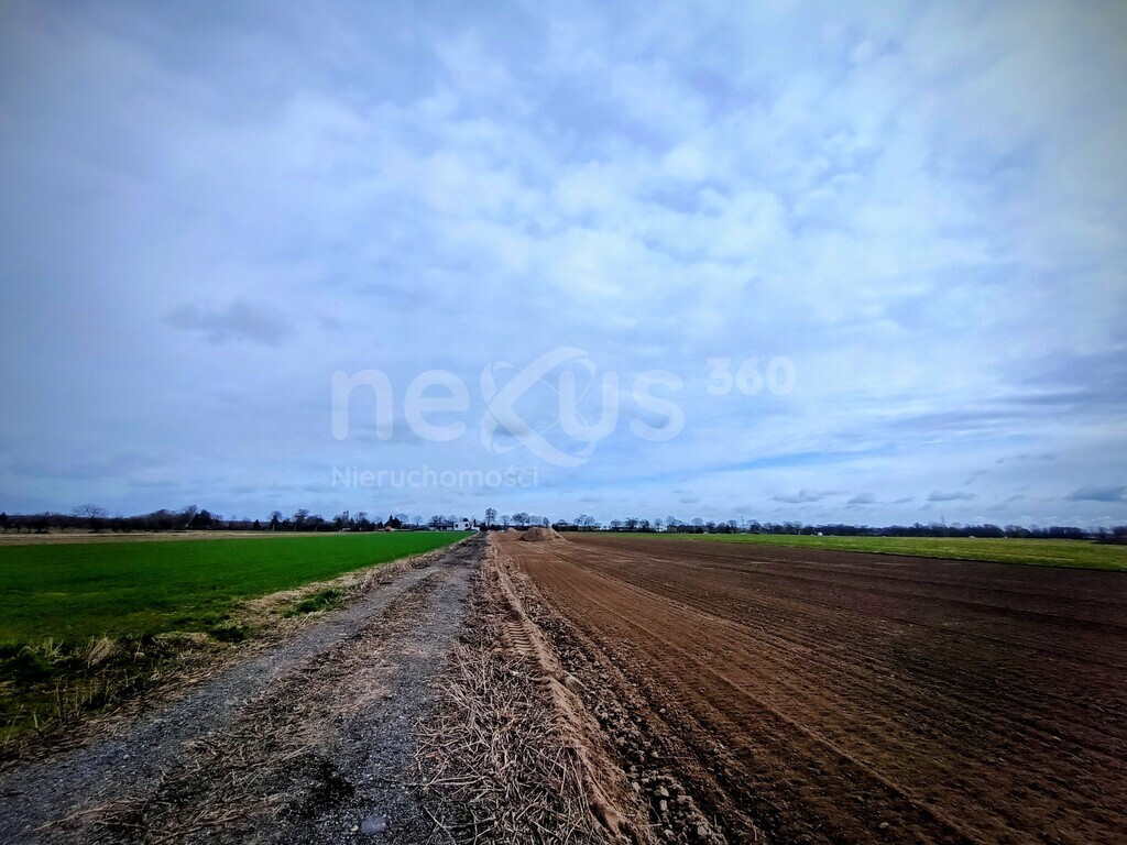 Wyjątkowa działka budowlana 976,56 m² – Świerzna - Widok 5