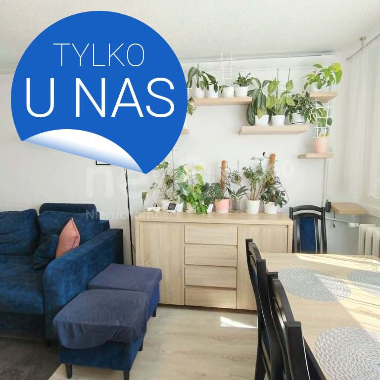 3 pokoje po remoncie | Balkon zabudowany |Oleśnica - Widok 4