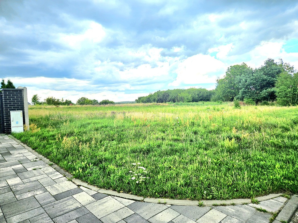Działka 1906 m² w Dębnie pod dom jednorodzinny - Widok 2