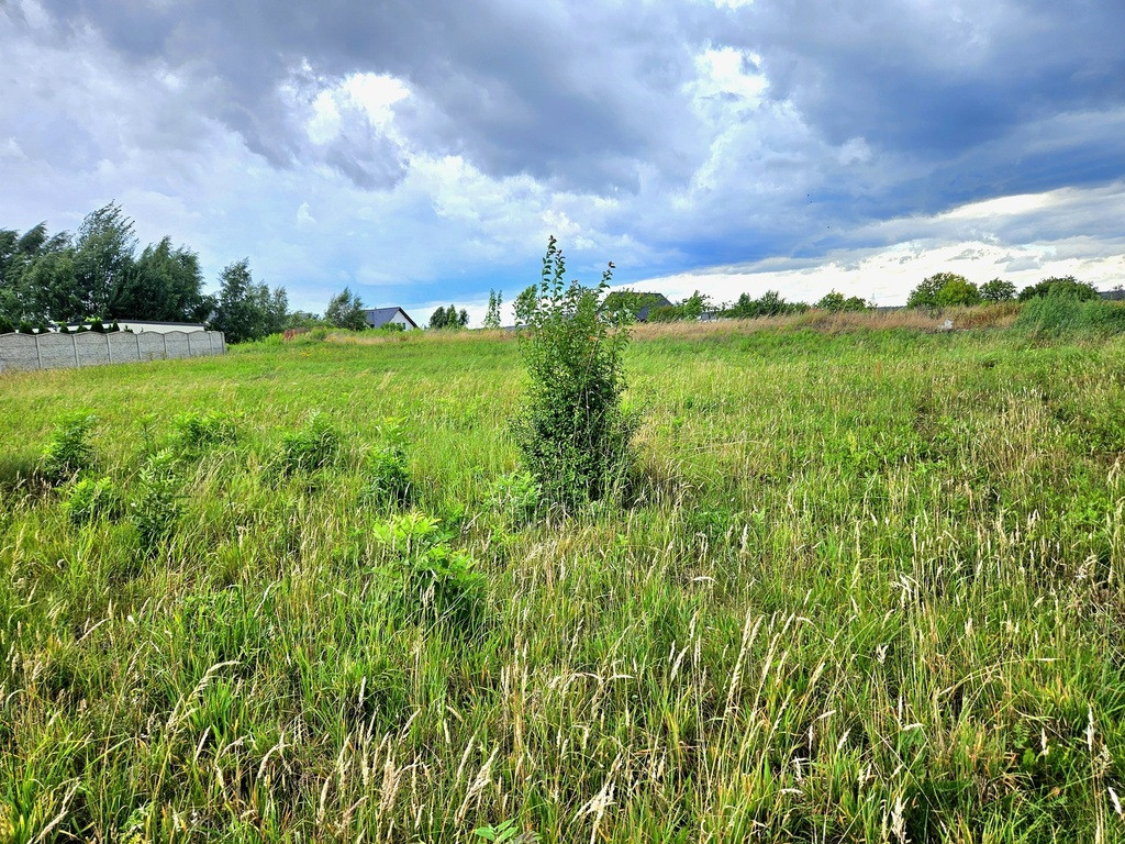 Działka 1906 m² w Dębnie pod dom jednorodzinny - Widok 5