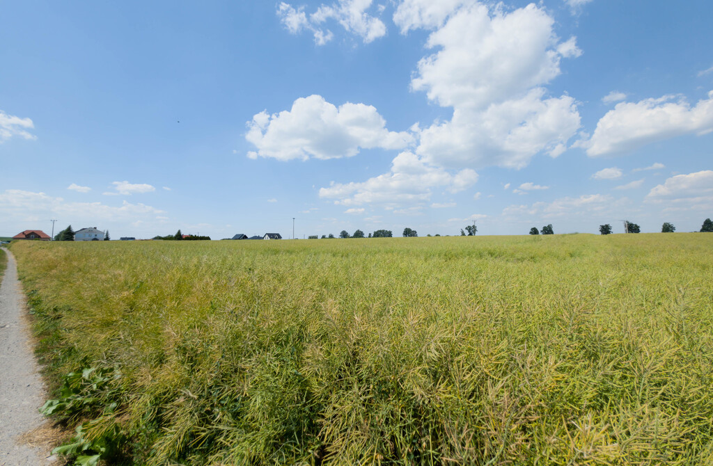 Działka inwestycyjna 1,17 ha Przeworsk MPZP - Widok 4
