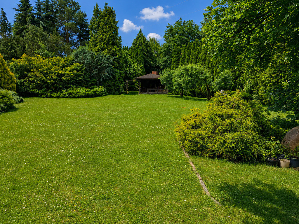 Dom – Pabianice, Hermanów - Widok 4