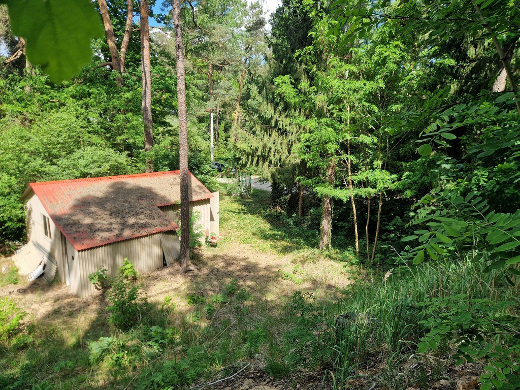 Za tanio na taką działkę? Sprawdź haczyk - Widok 2