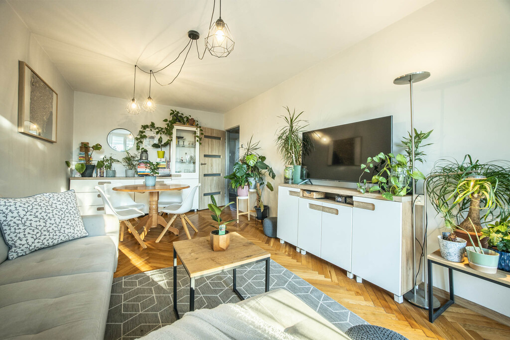 2h asunto, 40 m²