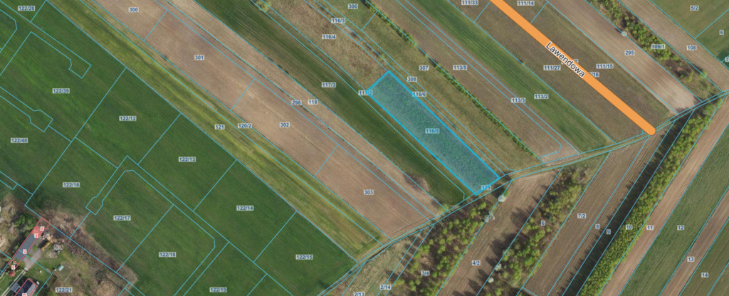 Działka budowlana 3000 m² Dąbrówka - Marianka - Widok 4