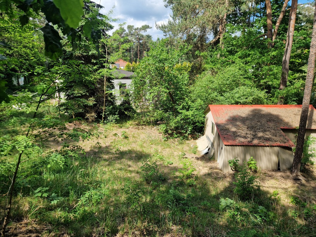 Za tanio na taką działkę? Sprawdź haczyk - Widok 3