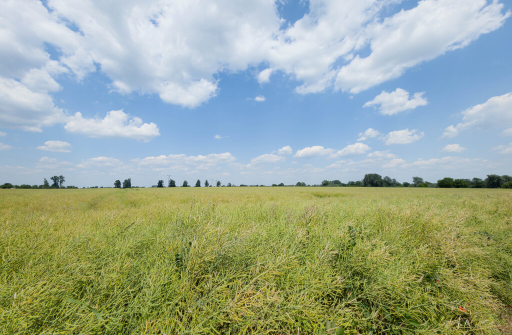 Działka inwestycyjna 1,17 ha Przeworsk MPZP - Widok 2