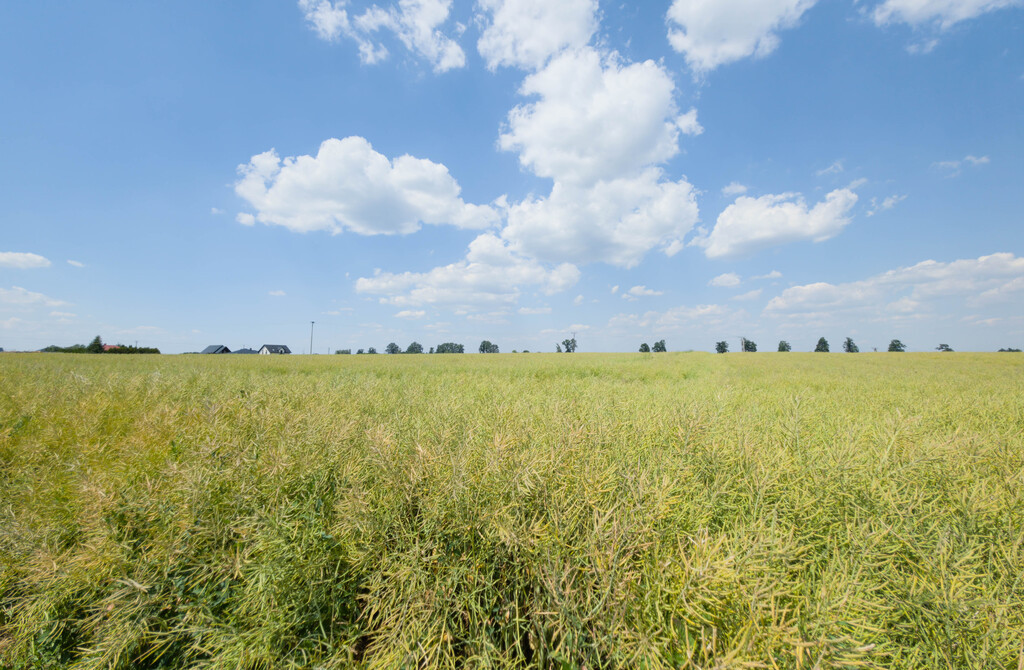 Działka inwestycyjna 1,17 ha Przeworsk MPZP - Widok 3