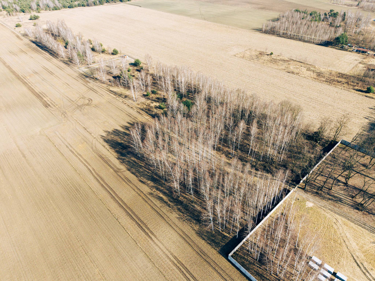 Tymianka - działki 1203–1614 m², MPZP - Widok 4