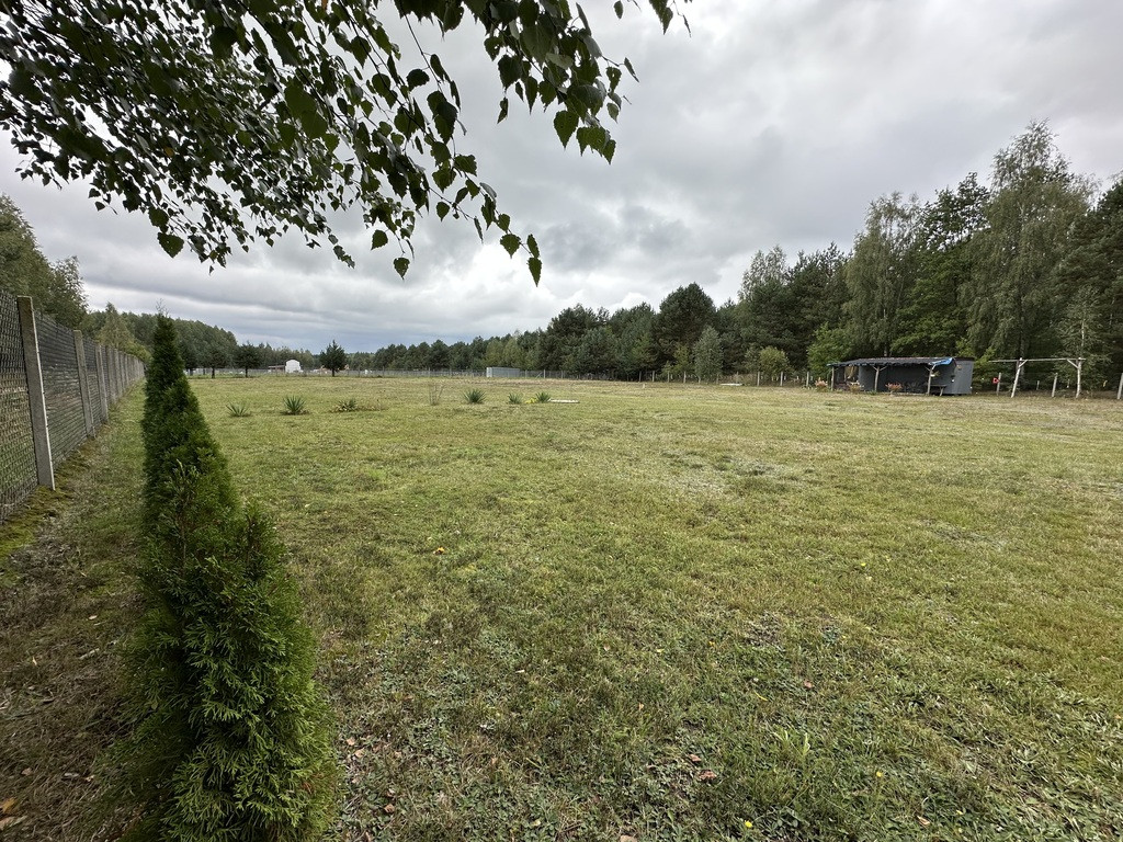 Działka 3400 m², las, zalew, ogrodzona - Widok 3
