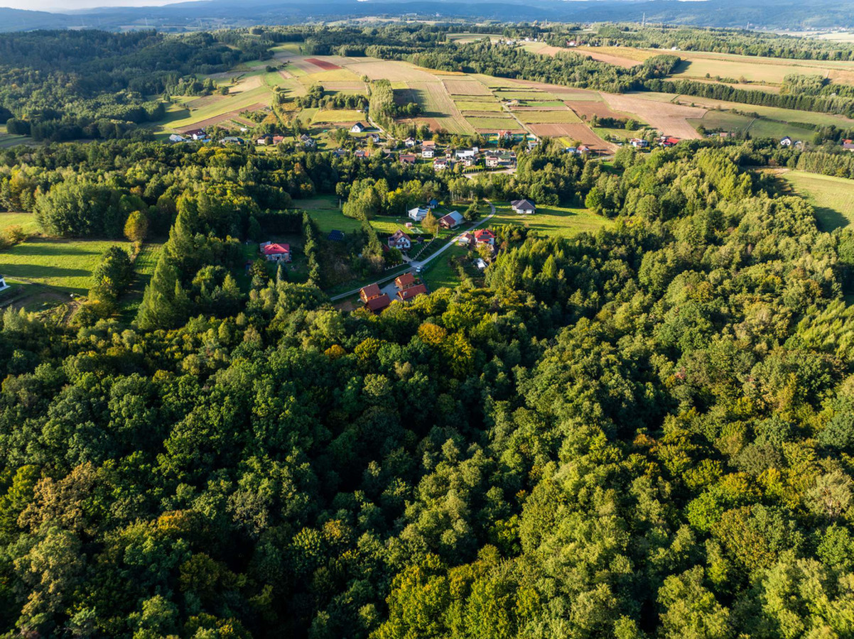 Działka Leśna z potencjałem, NIEPLA/JASŁO - Widok 3