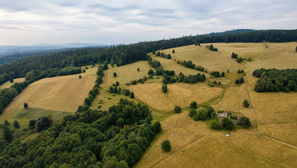 12,46 ha w górach. Twoja własna samotnia - Widok 5
