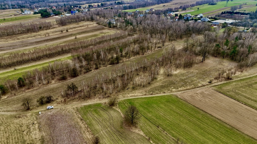 Działka budowlana 3000 m² Dąbrówka - Marianka - Więcej