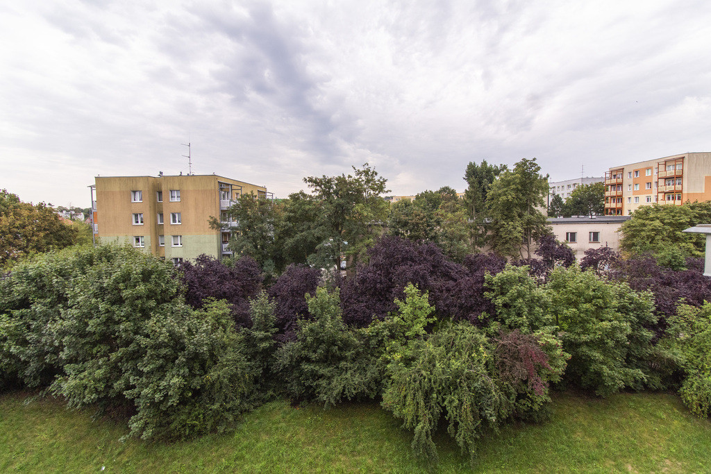 Apartment in Zielona Góra, Osiedle Słoneczne, Stare Miasto - Widok 5