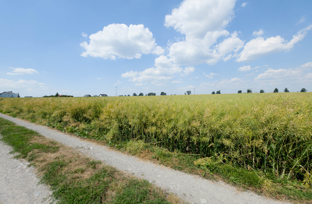 Działka inwestycyjna 1,17 ha Przeworsk MPZP - Widok 5
