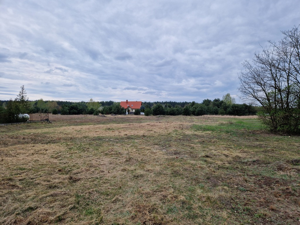 Działka z WZ | 2977 m² | gm. Zgierz - Widok 4