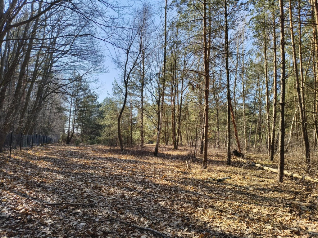 Popatrz na swoją przyszłość - Widok 2