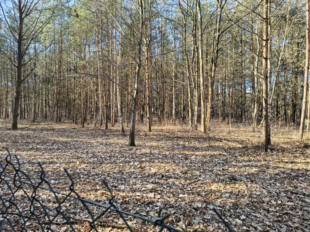 Popatrz na swoją przyszłość - Widok 3