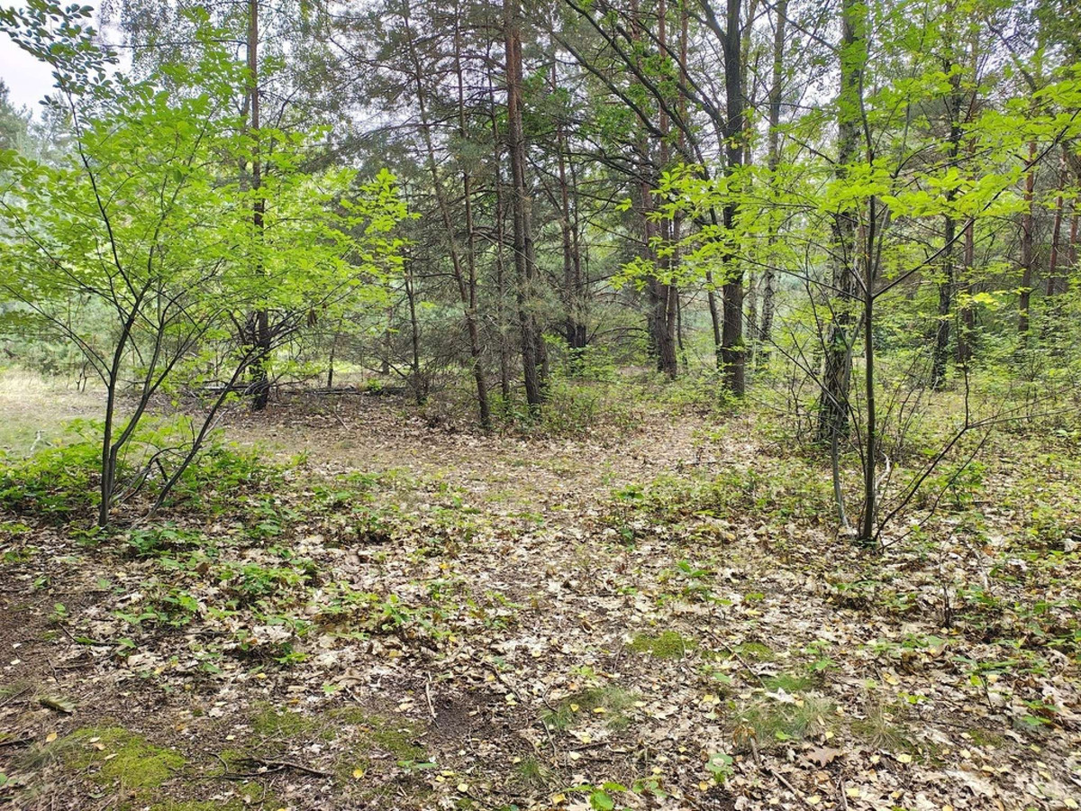 150 zł/m2 w Sokolnikach-Lesie? TAK - Więcej