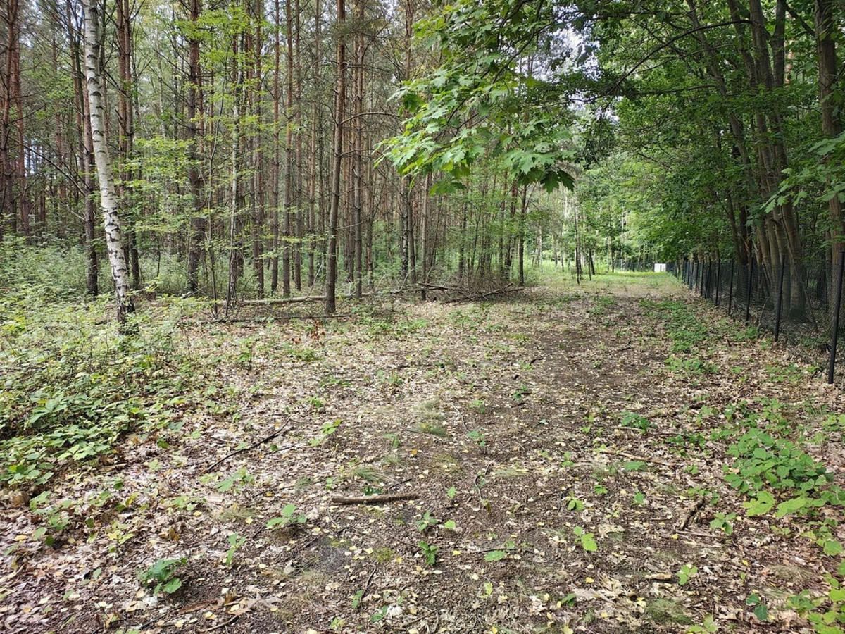 Działka 2442 m² w Sokolnikach-Lesie 150zł/m2 - Widok 3