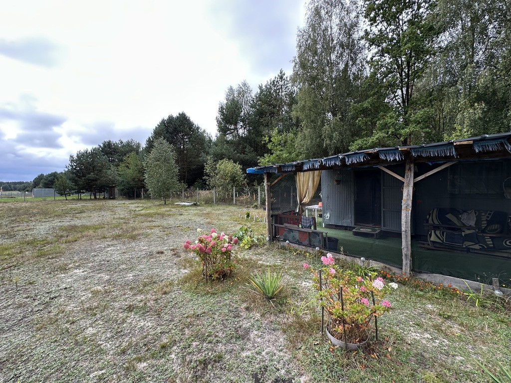 Działka 3400 m², las, zalew, ogrodzona - Widok 5