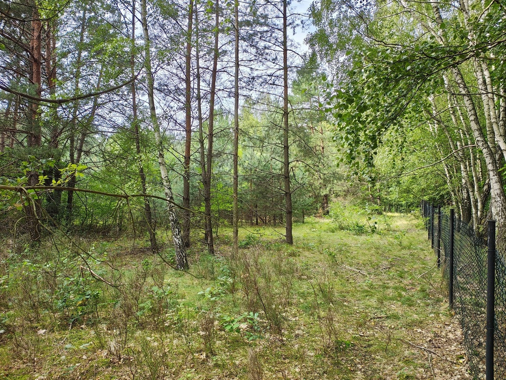 150 zł/m2 w Sokolnikach-Lesie? TAK - Widok 2