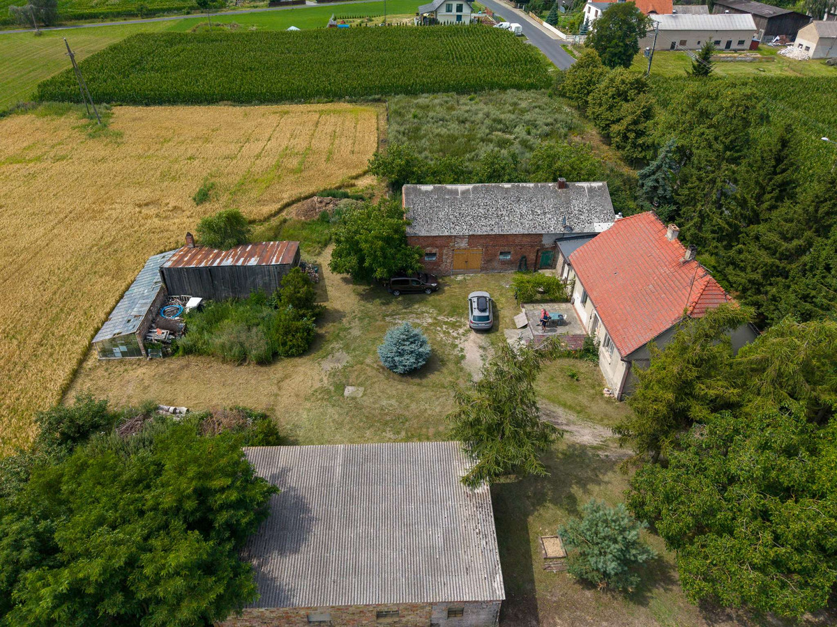 Dom – Gołańcz, Rybowo - Widok 5