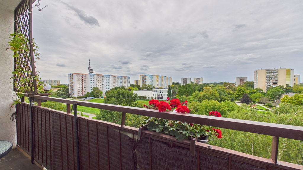 Mieszkanie – Poznań, Piątkowo - Widok 5