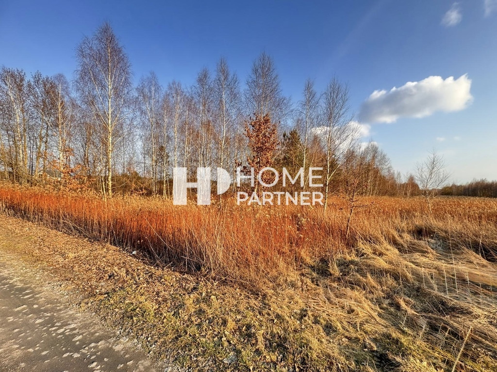 Budowlana 1200 m² przy dr.gminnej, szeroki front - Widok 6