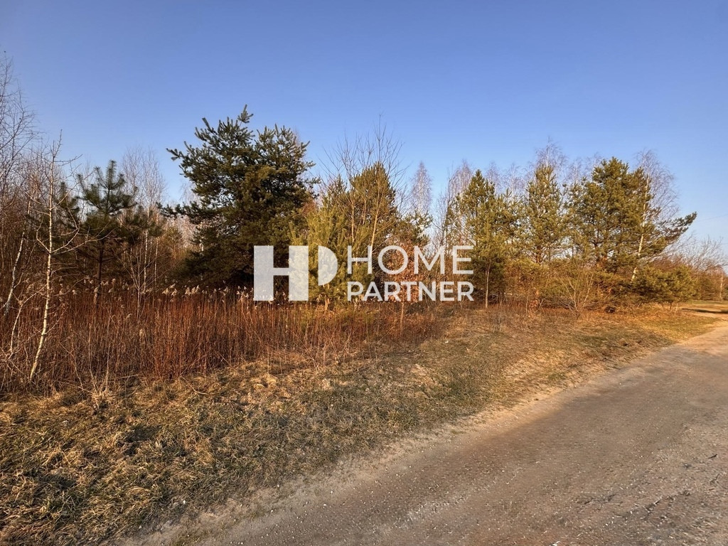 Budowlana 1200 m² przy dr.gminnej, szeroki front - Widok 5