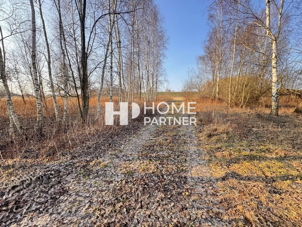 Budowlana 1200 m² przy dr.gminnej, szeroki front - Widok 3