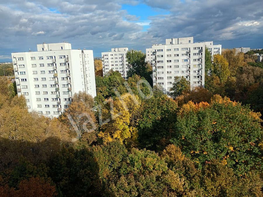 Apartment in Warszawa, Sady V, Żoliborz - Widok 4