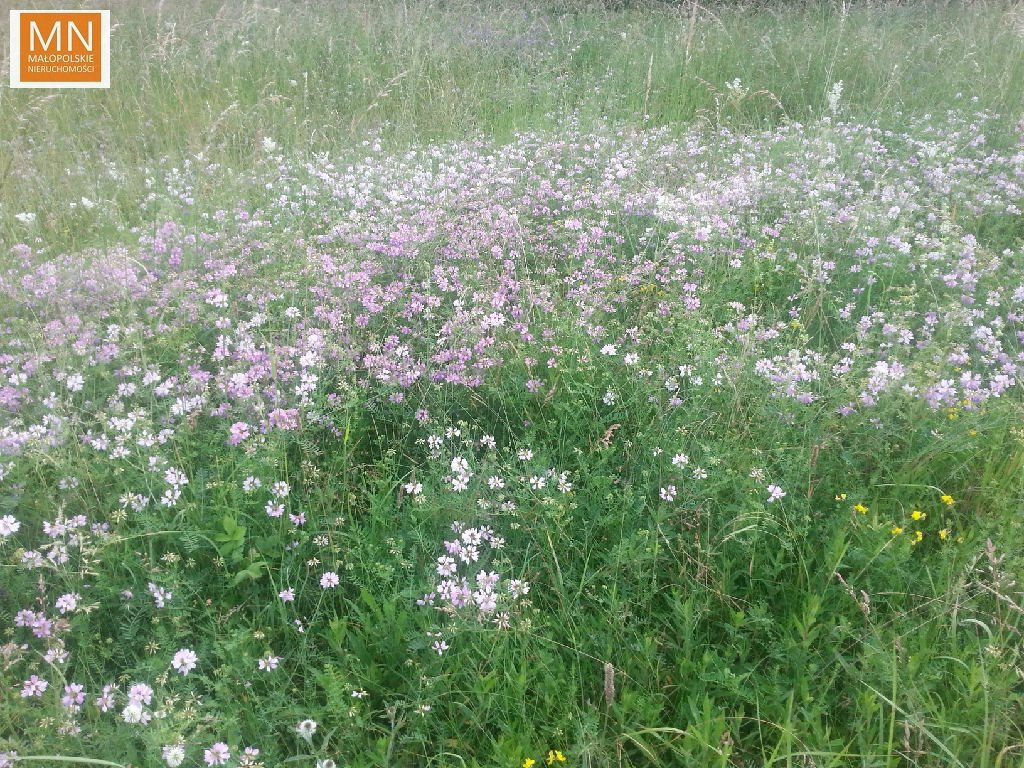 Kocmyrzów,WRONIN,Proszowice,11a budowlana, - Widok 4