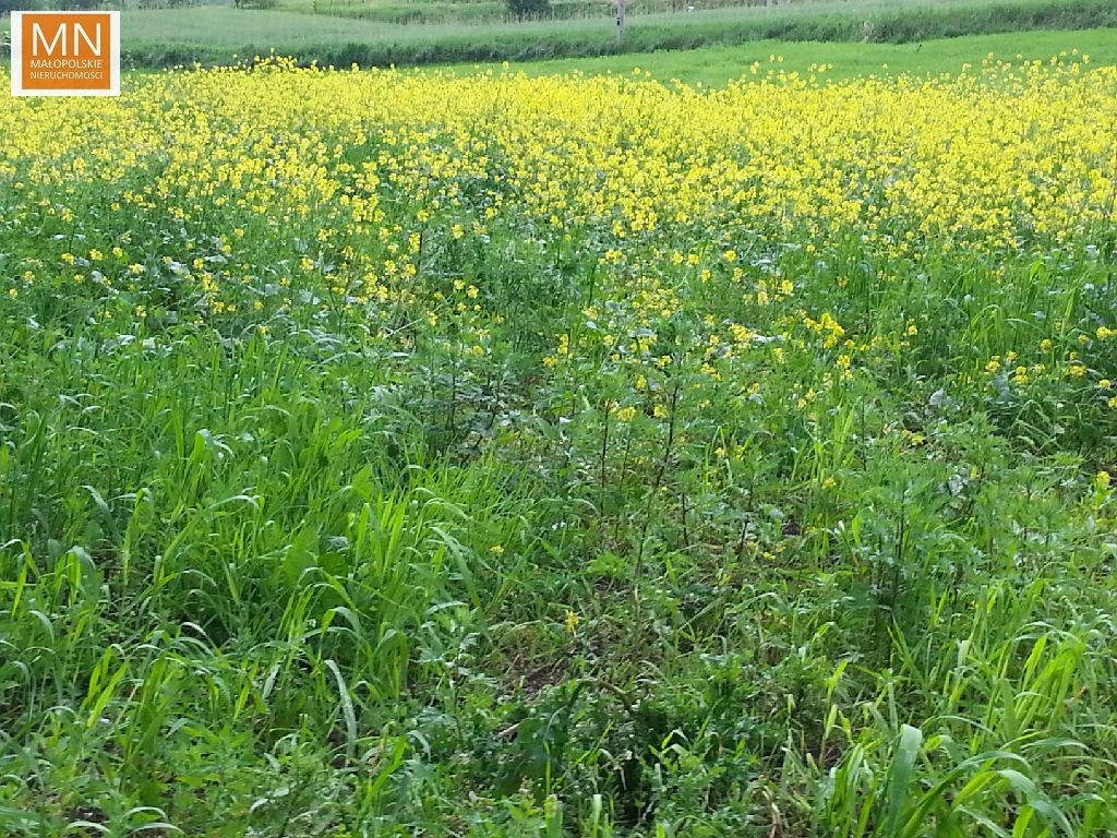 Kocmyrzów,WRONIN,Proszowice,11a budowlana, - Widok 5