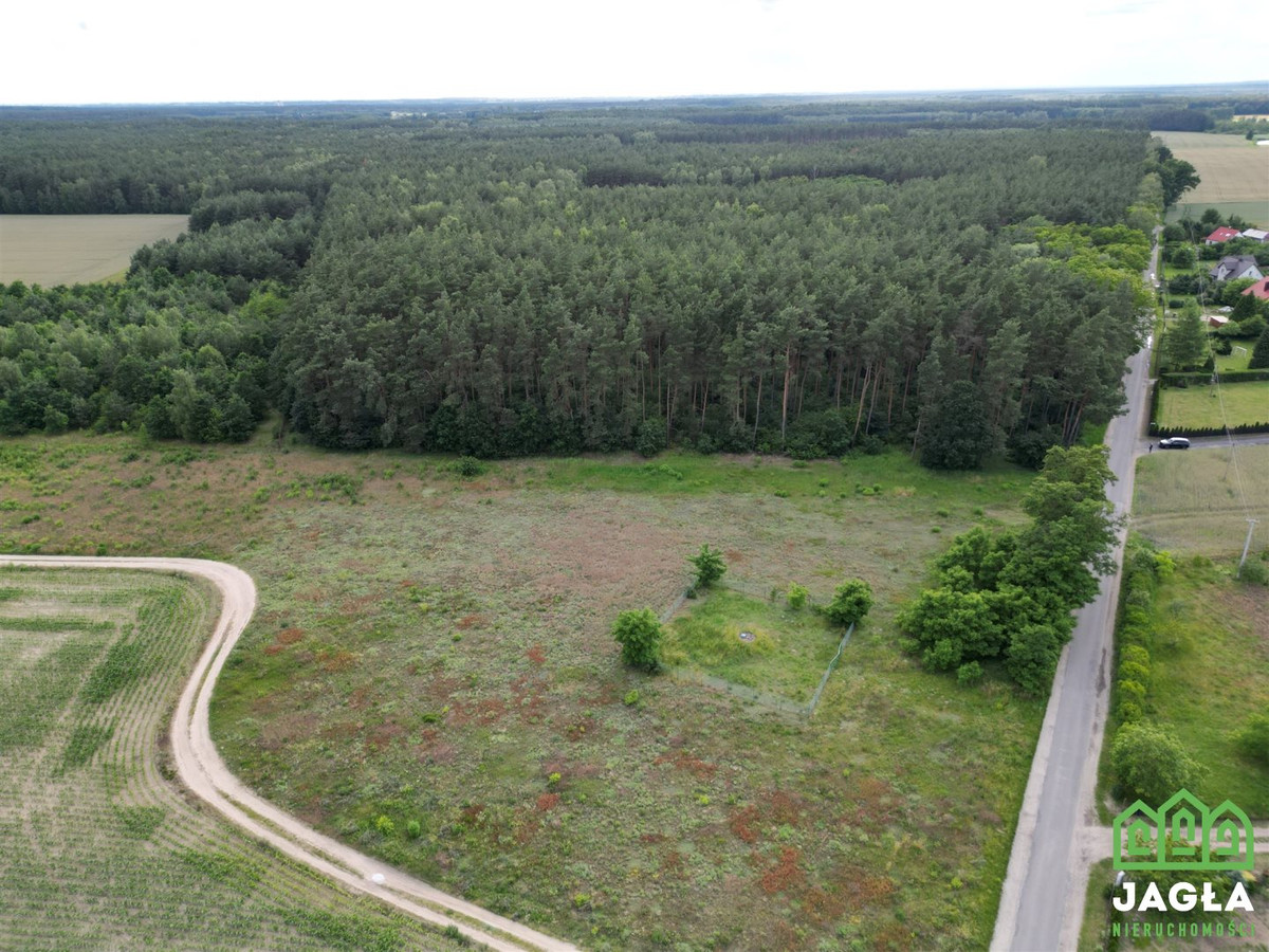 Ostatnia działka z linią lasu w Wudzynie 1428 m² - Widok 5