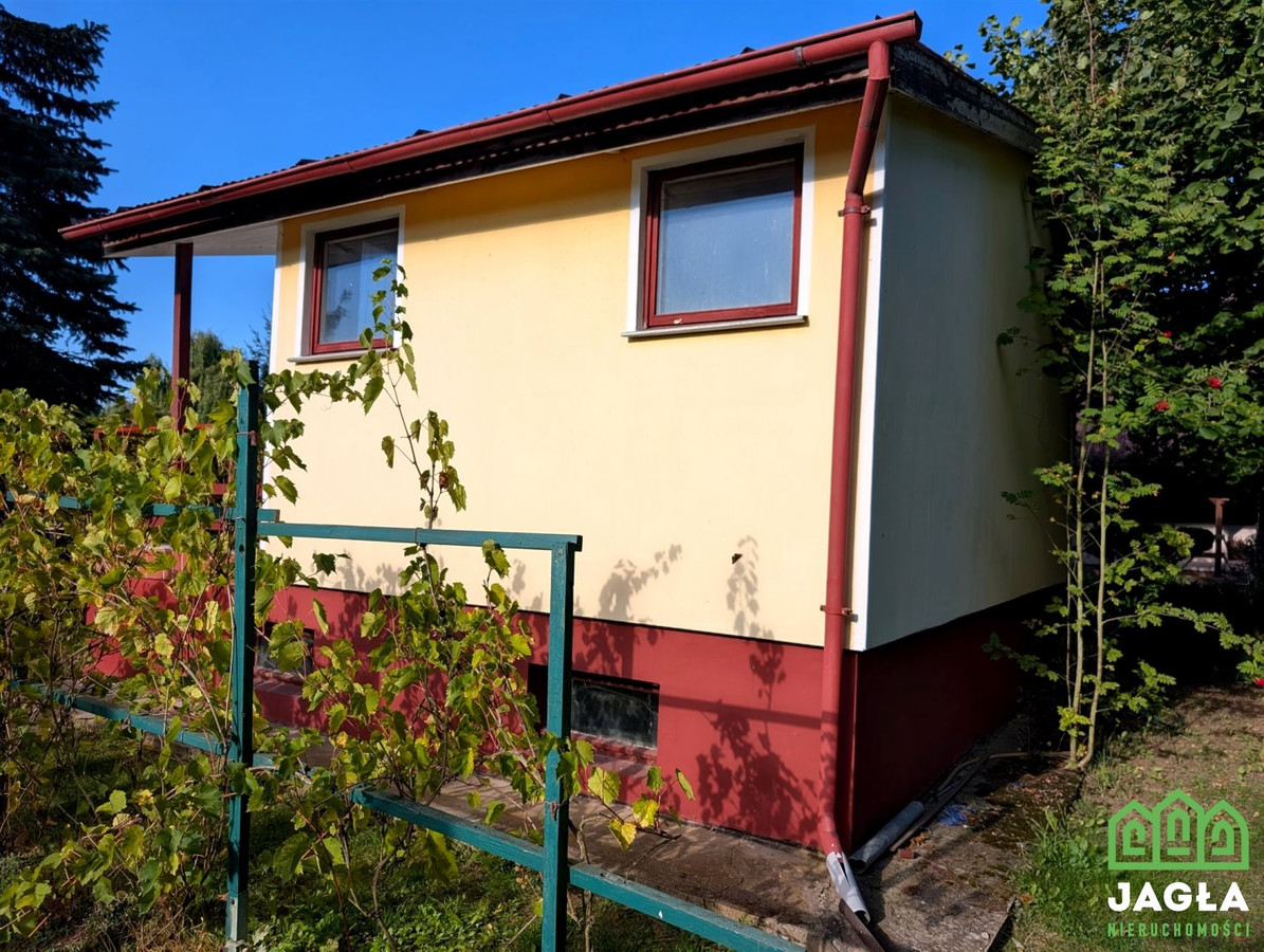 Działka letniskowa 450/35 m² Tryszczyn las zalew - Widok 4