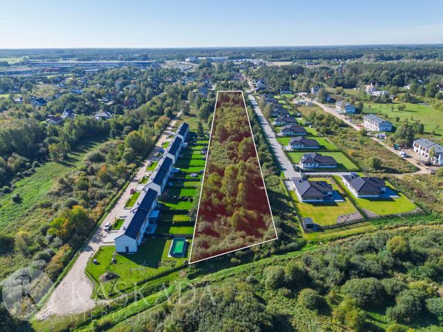 Grunt inwestycyjny 1,5 ha w Urzucie, gm. Nadarzyn - Widok 5