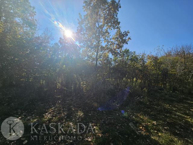 Działka budowlana z MPZP Wawer 2419 m² POLECAM - Widok 5