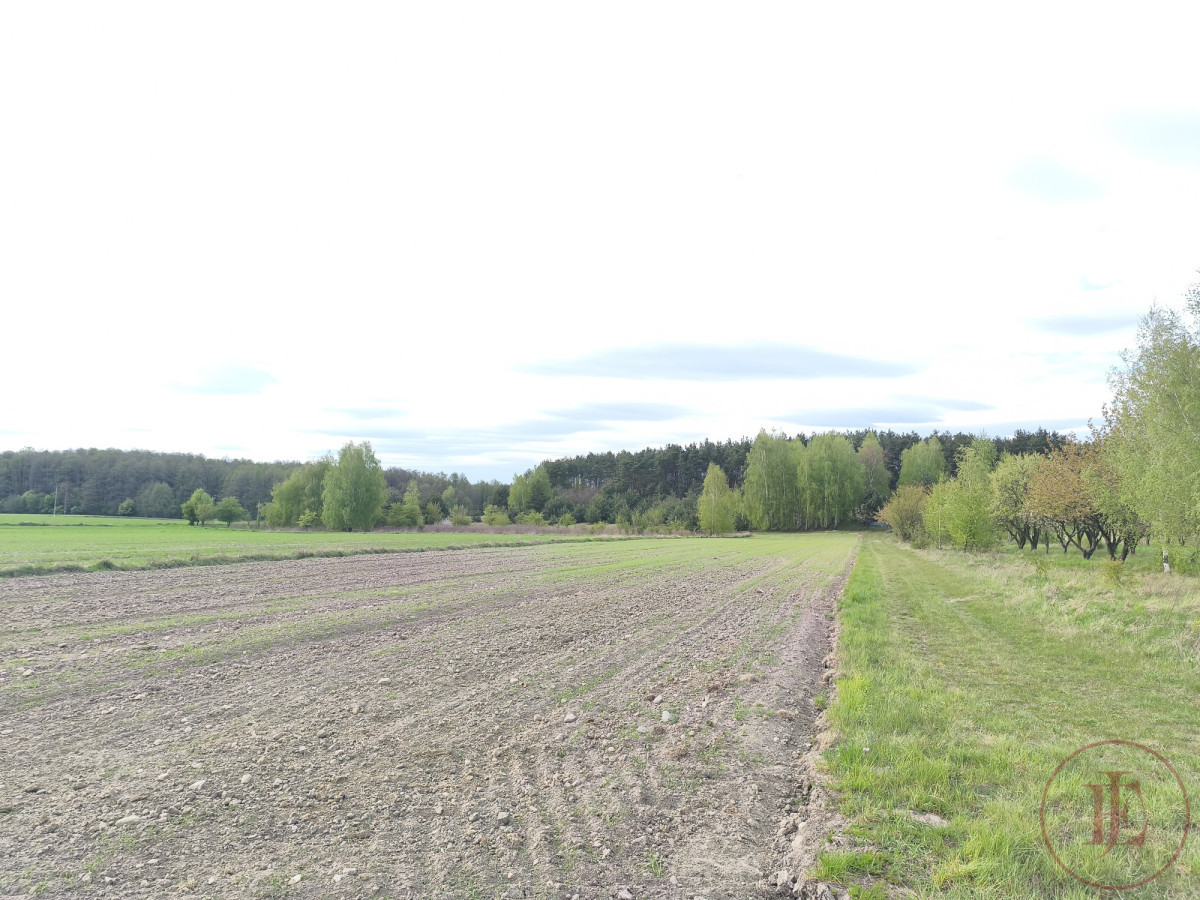 Działka budowlana na sprzedaż - Bratoszewice - Widok 4