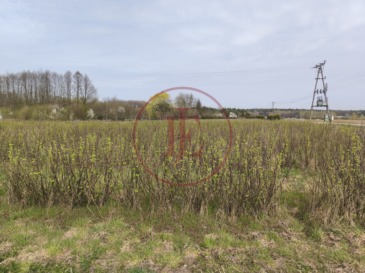 Działka na sprzedaż - Bratoszewice - Widok 3