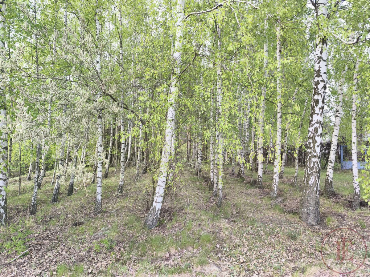 Działka budowlana na sprzedaż - Bratoszewice - Więcej