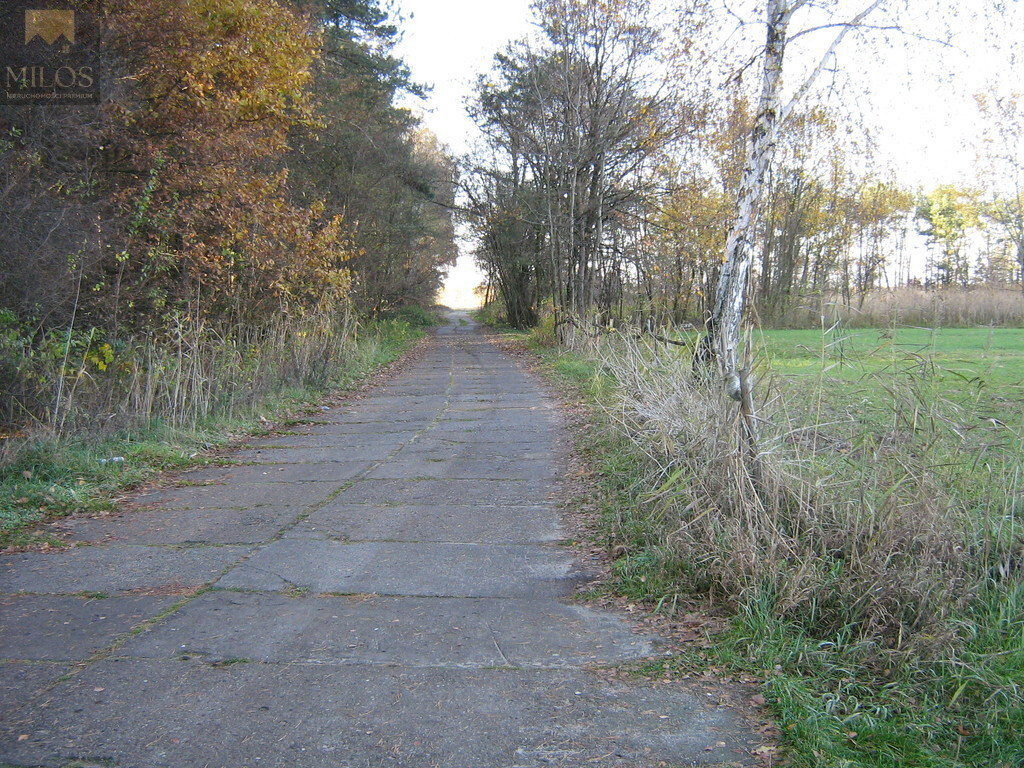 Duża, szeroka działka z WZ. Okazja inwestycyjna - Widok 4