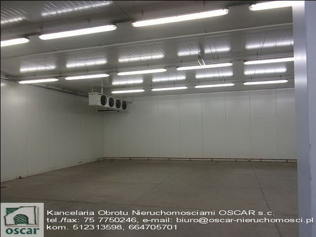 gratka-14852/00096W/2025 - Więcej