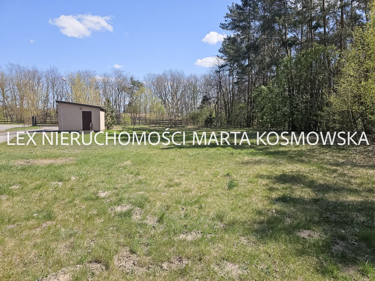 Nowa Wrona, gmina Joniec, 1575 m, działka 13177 m - Widok 4